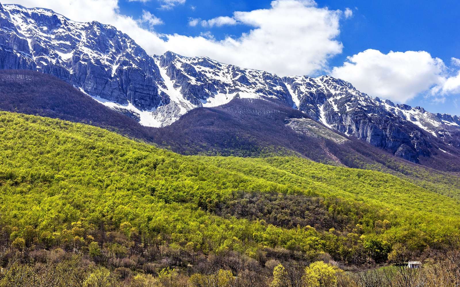 Cime innevate e prati in primavera nel Parco Sirente-Velino